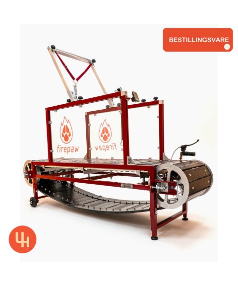 Firepaw Phoenix Generasjon 10 